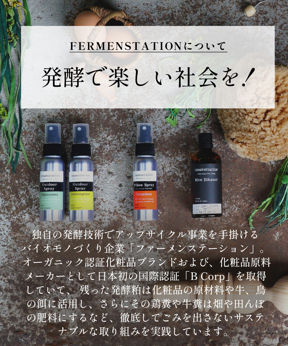 FERMENSTATION お米でできた ピロースプレー シナモン 80ml