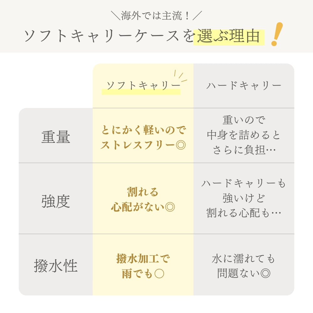 ナイロンソフトキャリーケース 30L