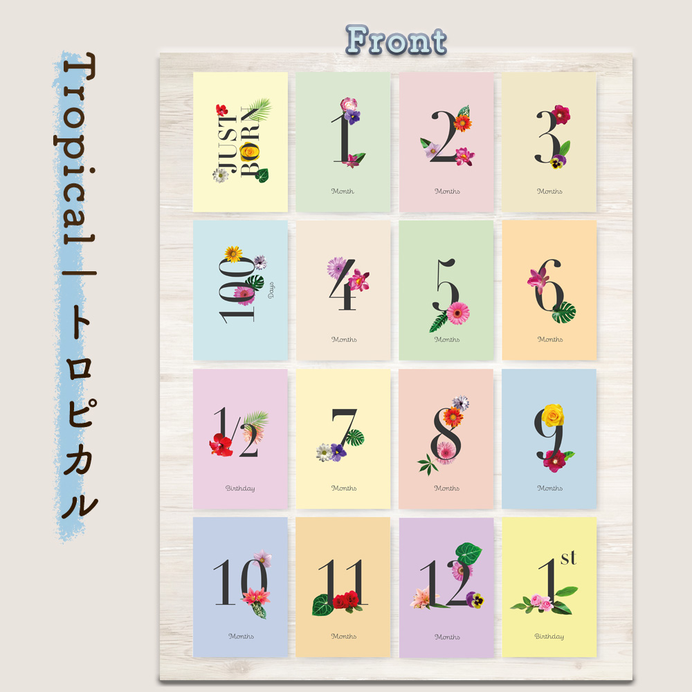 マンスリーカード